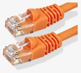 Monoprice Carries A Variety Of Specialty Cables - Category 6 Cable