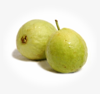 Guava Fruit