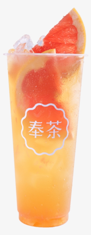 Red Guava Jasmin Green Tea - Fizz