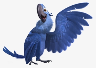 Blu Macaw - Rio Blu
