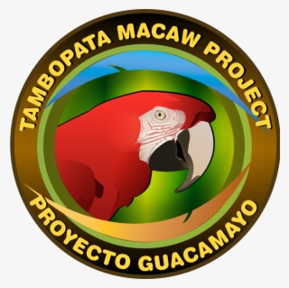 Macaw Project - Marklowice