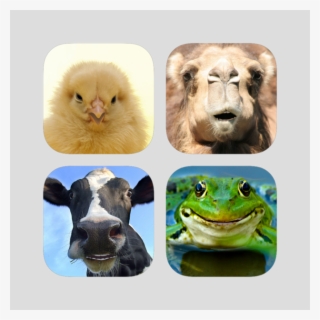 Talking Animals Megapack 4 - Barking Tree Frog