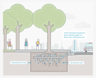 The Infiltration Trench In Burston Reserve Captures - Water Sensitive Urban Design Network