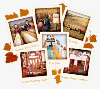 Our Fall Field Trip Adventures Include - Craft