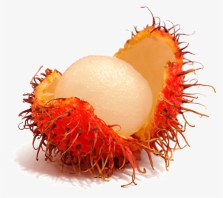 Cashew Clipart Cute - Rambutan With No Background