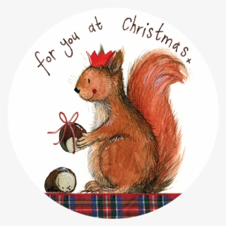 Eurasian Red Squirrel