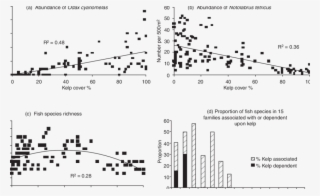 Fish Associations With Kelp Forests In Victoria - Sea Otter Population In Channel Island Kelp Forest