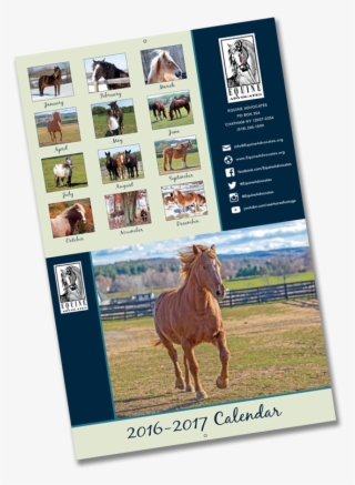 2017 Equine Advocates Calendar - Stallion