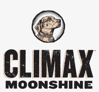 Moonshinelogo - Labrador Retriever