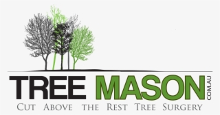 Mason Tree