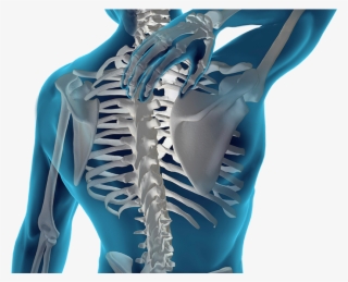 Nervous System Focused Care - Black Chiropractor