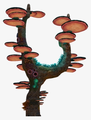 Tree Mushroom