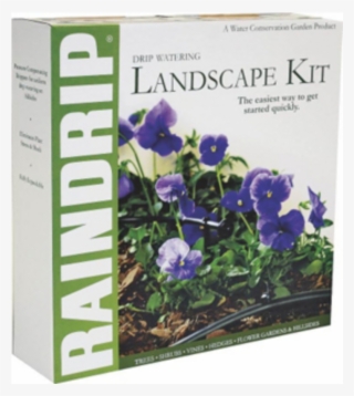 Rain Drip R530dt - Balloon Flower