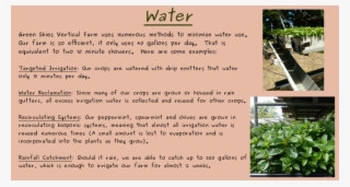 Home About Buy Water Consulting - Tree