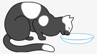Greed - Cat Drinking Milk Clipart