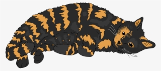 Cat Tortoiseshell Cat Cute Cat - Tortoiseshell Cat