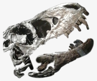 Dino Dinosaur Bones Dinobones Dinosaurbones - Fearful