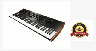 Click Here Check With Us - Korg Prologue Gig Bag