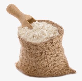 Flour Investigations - - Pšenična Moka