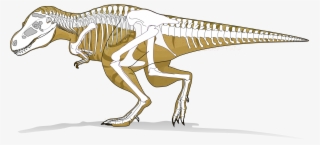 Open - Tyranosaurus Rex
