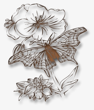 Swirl Png Transparent 800 X - Butterflies To Color