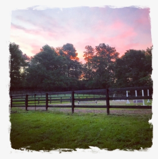 Jump Start Your Riding Career Today - Split-rail Fence