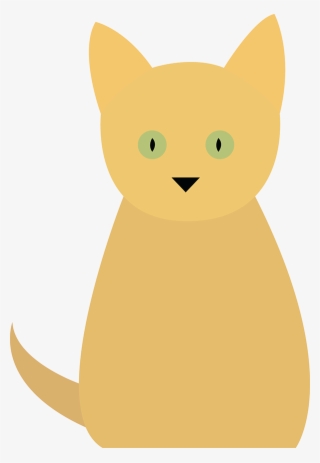 Cute Animals Personal Project - Domestic Short-haired Cat