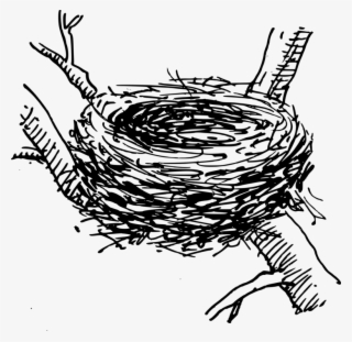 Bird Nest Computer Icons Egg - Crow Nest Clipart