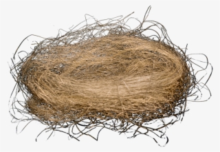 Nest Png, Download Png Image With Transparent Background, - Nido De Paja Png