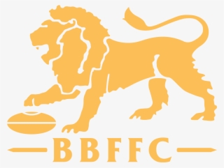 ©2019 Brisbane Lions Football Club - Brisbane Lions Jumper 2017