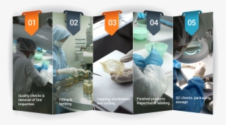 Bird Nest Progress - Bird Nest Manufacturing