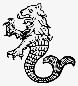 Details, Png, Svg - Illustration
