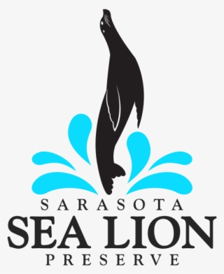 Logo And Website - Graphic Design