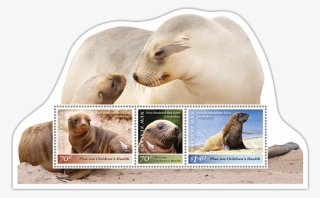Miniature Sheet - California Sea Lion