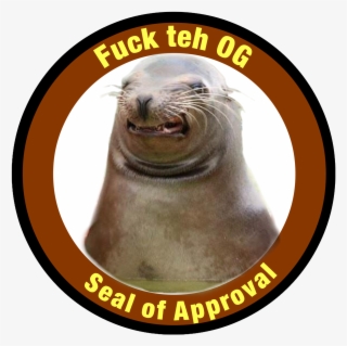 Seal Of Approval - Arrow Clip Art