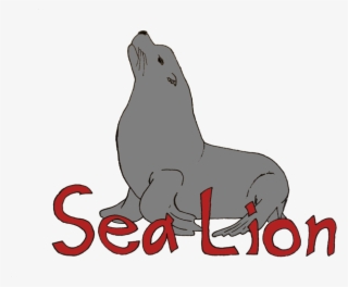 Sea Lion