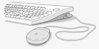 Mouse