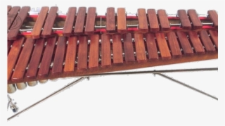 Xylophone Png - Xylophone