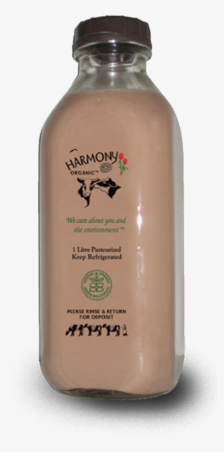 The World's Most Delicious Milk Chocolate Chocolate - Plastic Bottle