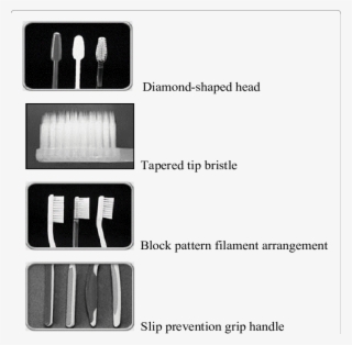 Most Preferred Characteristics Of A Toothbrush - Adapter