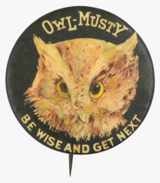 Owl-musty Be Wise And Get Next Beer Button Museum - Eastern Screech Owl