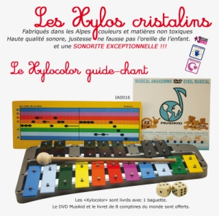 Xylophone - Glockenspiel