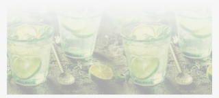 Main Intro Mojito Trans Bg - Limeade