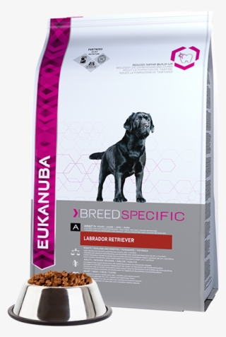 Eukanuba Adult Dry Dog Food For Labrador Retriever - Comida De Perro Labrador