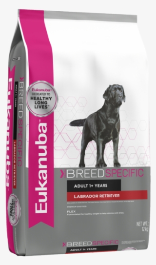 Eukanuba Dog Labrador Retriever - Eukanuba