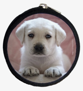 Labrador Rosa, Purse Xs - Labrador Retriever