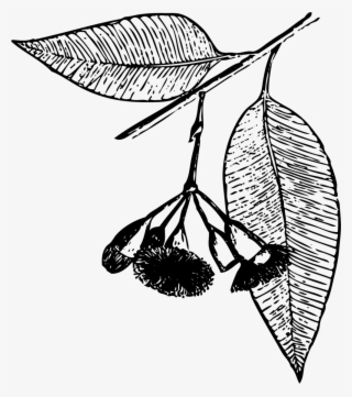 Elements-05 - Illustration