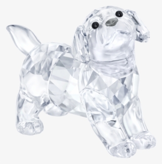 Labrador Swarovski