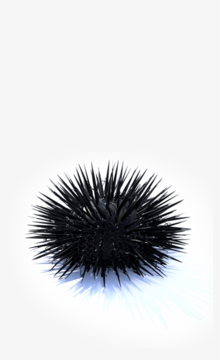 Urchin Vfx