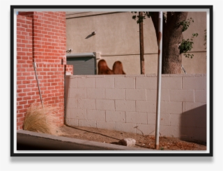 Twins, - Screen Door